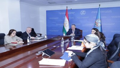 Online Meeting of the Minister of Foreign Affairs with the UNESCO Assistant Director-General for Natural Sciences