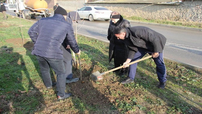 Dağıstan’da Birleşik Rusya’nın girişimiyle ağaç dikme kampanyası düzenlendi