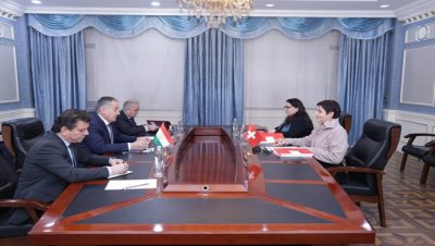 Meeting of the Minister of Foreign Affairs with the Director of Swiss Cooperation Office in Tajikistan