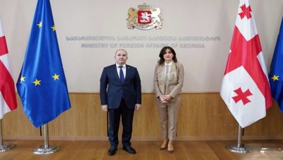 Meeting of the Ambassador with the Minister of Foreign Affairs of Georgia