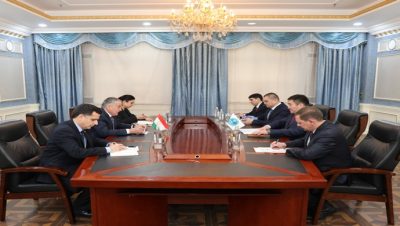 Meeting of the Minister of Foreign Affairs of the Republic of Tajikistan with the Director of the Executive Committee of the SCO Regional Anti-Terrorist Structure